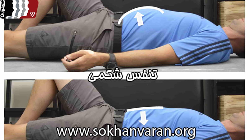 تنفس شکمی