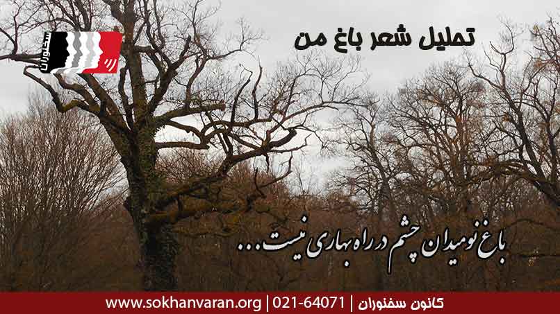 تحلیل-شعر-باغ-من