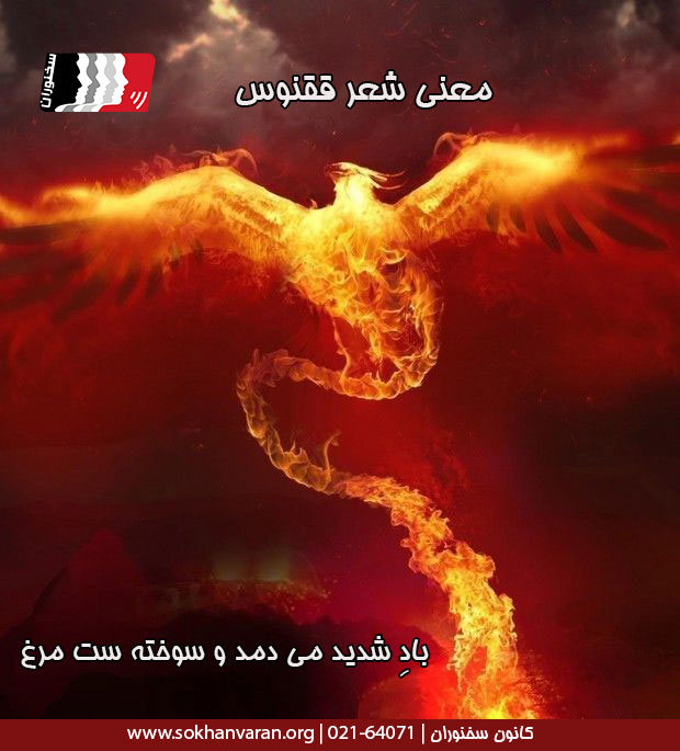 معنی-شعر-ققنوس