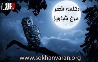 دکلمه شعر مرغ شباویز