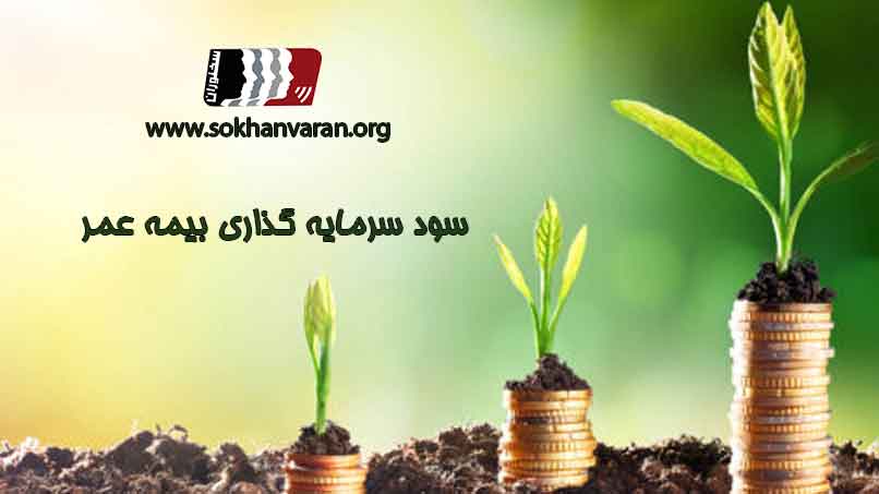 سود-سرمایه-گذاری-بیمه-عمر