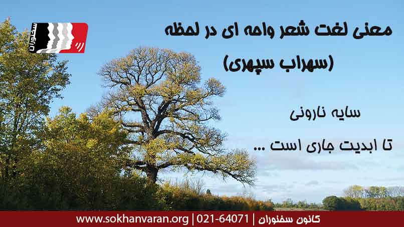 معنی لغت شعر به سراغ من اگر می آیید