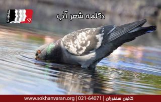 دکلمه-شعر-آب-را-گل-نکنیم