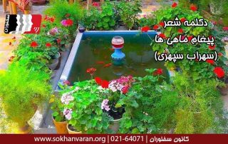 دکلمه-شعر-پیغام-ماهی-ها-از-سهراب-سپهری