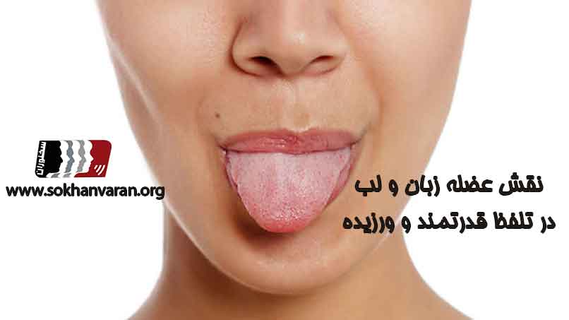 نقش-عضله-زبان-و-لب-در-تمرین-های-تلفظی-فن-بیان