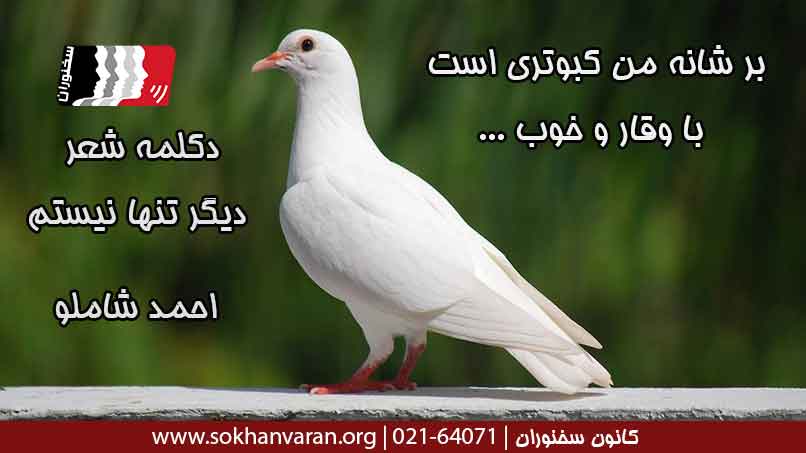 دکلمه-شعر-من-دیگر-تنها-نیستم-احمد-شاملو