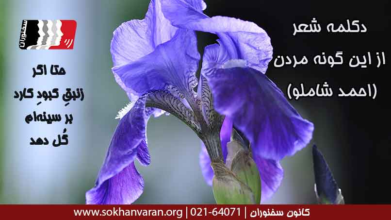 دکلمه-شعر-از-این-گونه-مردن