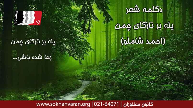 دکلمه-شعر-یله-بر-نازکای-چمن