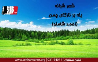 شعر-یله-بر-نازکای-چمن