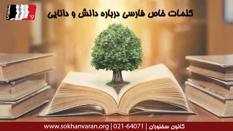 کلمات-خاص-فارسی-درباره-دانش-و-دانایی