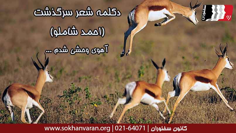 دکلمه-شعر-سرگذشت